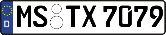 MS-TX7079