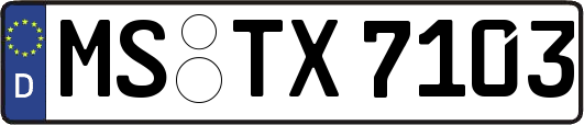 MS-TX7103