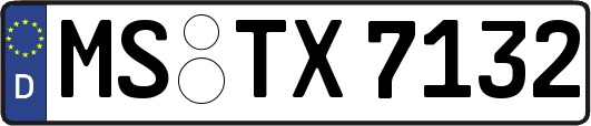MS-TX7132