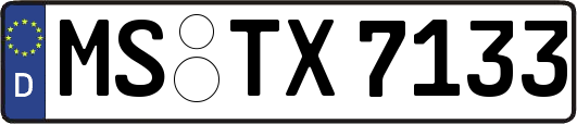 MS-TX7133