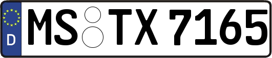 MS-TX7165