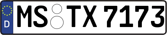 MS-TX7173