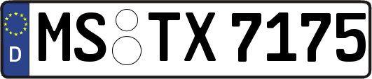 MS-TX7175