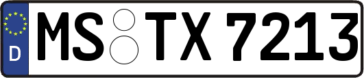 MS-TX7213
