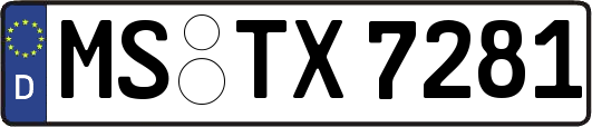 MS-TX7281