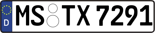 MS-TX7291