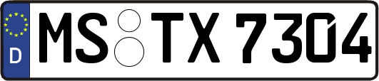 MS-TX7304
