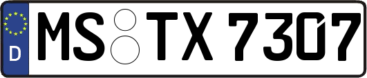 MS-TX7307