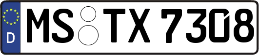 MS-TX7308