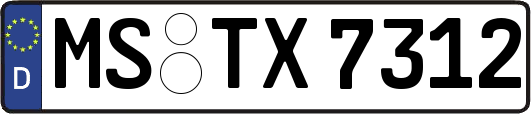 MS-TX7312