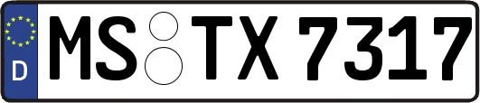 MS-TX7317