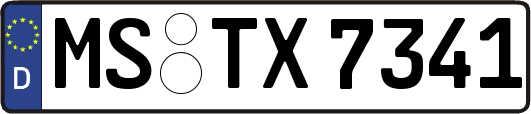 MS-TX7341