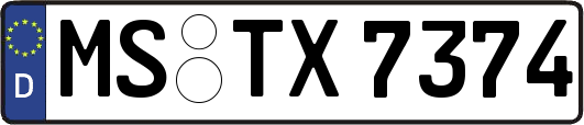 MS-TX7374