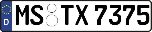 MS-TX7375
