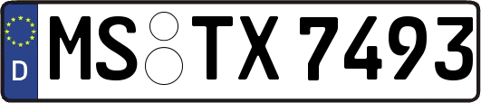 MS-TX7493