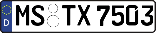 MS-TX7503