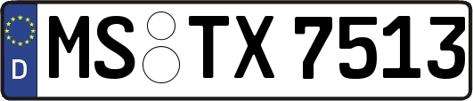 MS-TX7513