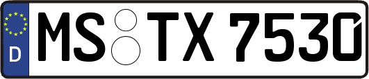 MS-TX7530