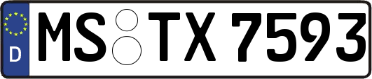 MS-TX7593