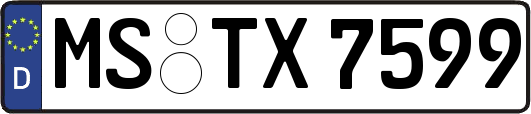 MS-TX7599