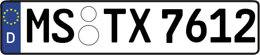 MS-TX7612