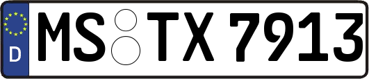 MS-TX7913