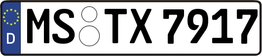 MS-TX7917