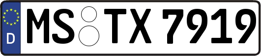 MS-TX7919
