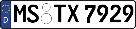 MS-TX7929