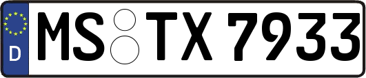 MS-TX7933