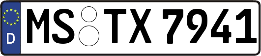 MS-TX7941