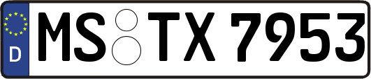 MS-TX7953