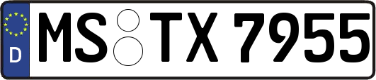 MS-TX7955