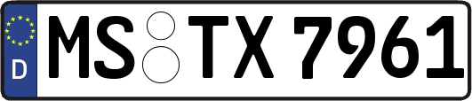 MS-TX7961