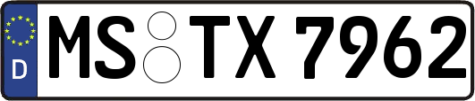 MS-TX7962