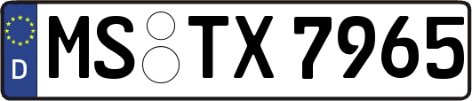 MS-TX7965