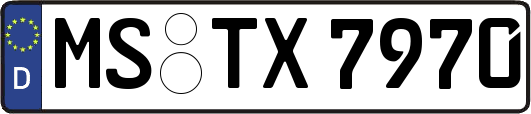 MS-TX7970