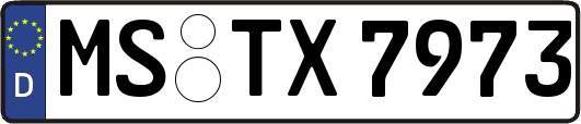 MS-TX7973