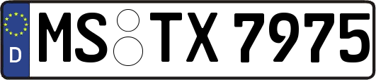 MS-TX7975