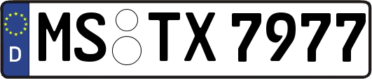 MS-TX7977