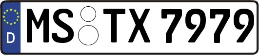 MS-TX7979
