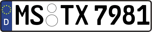 MS-TX7981