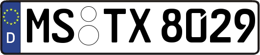 MS-TX8029