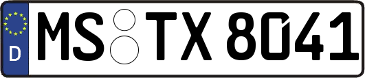 MS-TX8041