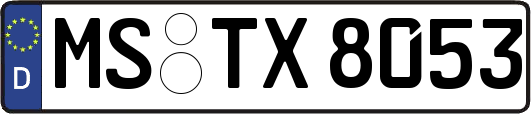 MS-TX8053