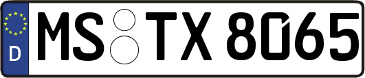 MS-TX8065
