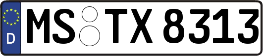 MS-TX8313