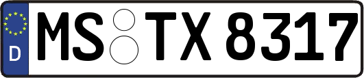 MS-TX8317