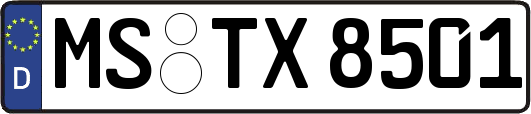 MS-TX8501