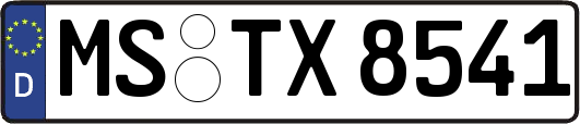 MS-TX8541